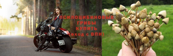 герыч Дмитров