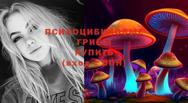 mdpv Гусев