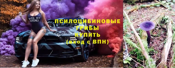 соль ск Гусиноозёрск