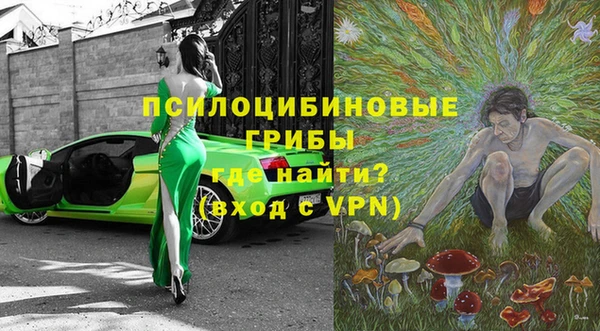 mdpv Гусев