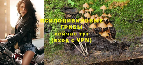 соль ск Гусиноозёрск