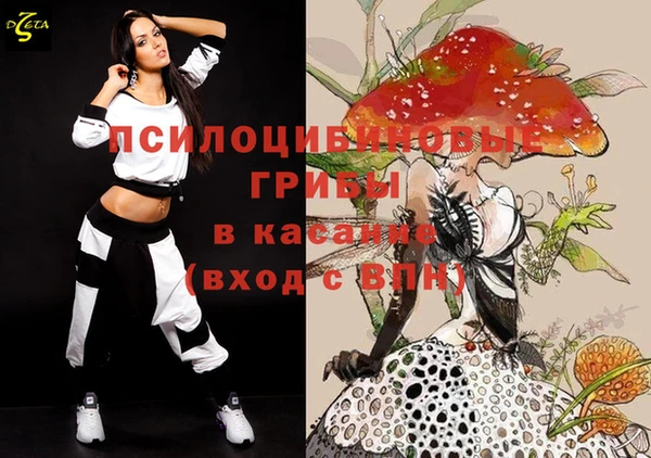 соль ск Гусиноозёрск